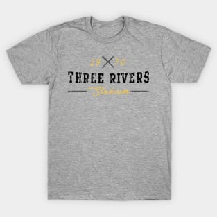 Three Rivers Stadium T-Shirt